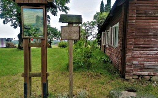 Akmuo su dubeniu.jpg